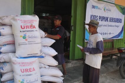 Pupuk Subsidi Bikin Petani Cabai Setrokalangan Galau, Kios Jauh hingga Jatah Tak Cukup