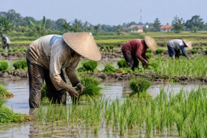 Hari Tani Nasional, Bupati Kudus Sebut Petani Pahlawan Pangan, Pupuk Masih Jadi Persoalan