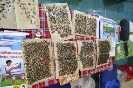 Lalat Ganggu Siswa hingga Guru, SD 3 Bulungcangkring Kudus Minta Persoalan Segera Ditangani